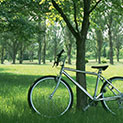 자전거 무료 렌탈